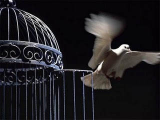 Fallback image